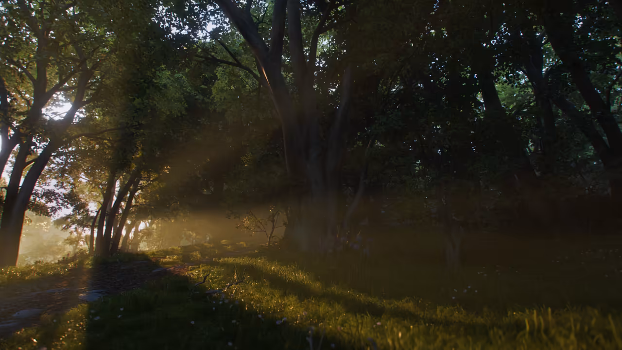 A quiet woodland at golden hour. Slanting beams of sunlight pass between the trunks of tall leafy trees and fall across a slope of grass dotted with small flowers, with deep shade under the canopy at right. No people or creatures are visible. No game interface is shown.