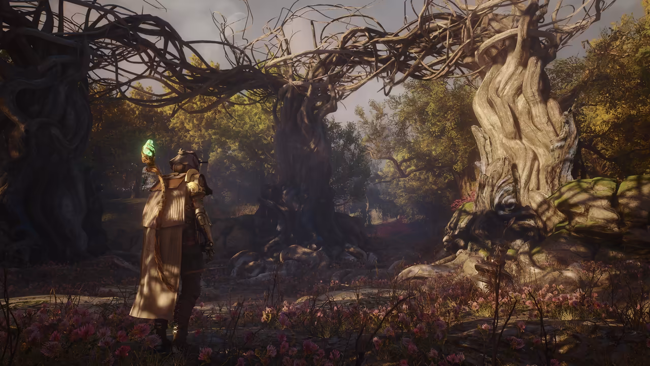 Late-afternoon light in an old forest. At left a figure in a long cream coat and a dark hood stands among pink flowers, holding a tall staff whose tip glows green. Before them stand enormous ancient trees with twisted, rope-like trunks and bare branches that arch and knot together overhead, with mossy boulders and green woodland beyond. No game interface is shown.