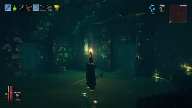 A Viking seen from behind wades through water in a dark green stone crypt with arched doorways, holding a torch and a mace; a green flame burns on the far wall and small yellow mushrooms glow at the right. The HUD shows Wet, Shelter and a Swamp minimap.